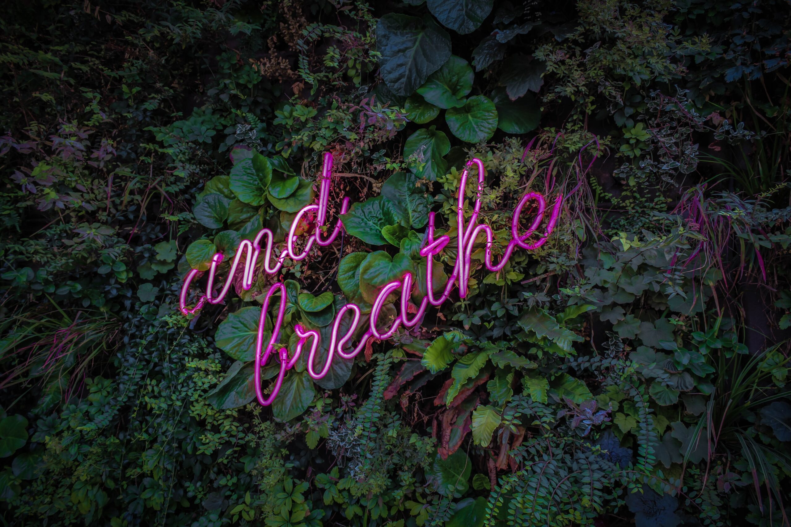 victor-garcia-BiGS_w9t7FU-unsplash